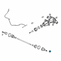 OEM 2017 Ford Edge Axle Nut Diagram - CCPZ-3B477-B