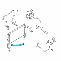 OEM 2022 Ford Mustang Lower Hose Diagram - FR3Z-8286-B