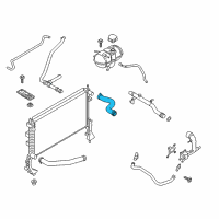 OEM 2015 Ford Mustang Upper Hose Diagram - FR3Z-8260-B