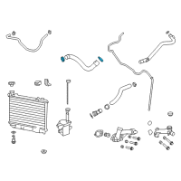 OEM 2014 Chevrolet Caprice Upper Hose Clamp Diagram - 90469896