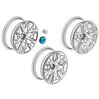 OEM Chevrolet Center Cap Diagram - 20941994