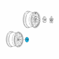 OEM 1999 Chevrolet Corvette Hub Cap ASSEMBLY *Bronze Diagram - 9594097