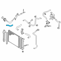 OEM 2016 Toyota Prius C Radiator Hose Diagram - 16572-21071