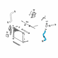 OEM 2022 Lexus ES350 Hose, Radiator, NO.3 Diagram - 16573-0P020