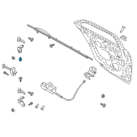 OEM Ford Escape Lower Hinge Bolt Diagram - -W715134-S439