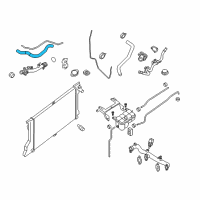 OEM 2020 Nissan NV3500 Hose-Radiator, Lower Diagram - 21503-1PE0A