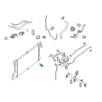 OEM Nissan Valve - Drain Diagram - 21440-1PA0A