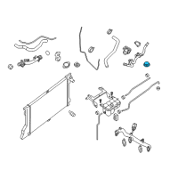 OEM 2013 Infiniti QX56 Radiator Cap Assembly Diagram - 21430-D999A