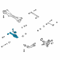 OEM 2011 Kia Sportage Arm Complete-Rear Lower Diagram - 552102S010