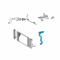 OEM Toyota Lower Hose Diagram - 16571-0V020