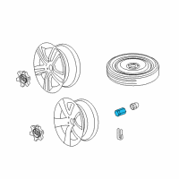 OEM 2009 Pontiac G8 Wheel Nut Cap Diagram - 92243850