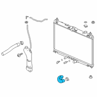 OEM 2022 Honda Insight HOSE, WATER (LOWER) Diagram - 19502-6L2-A00