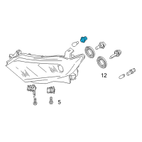 OEM Nissan Frontier Front Lamps-Signal Lamp Bulb Socket Diagram - 26242-65Y00