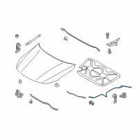 OEM 2016 Kia Cadenza Cable Assembly-Hood Latch Diagram - 811902T000