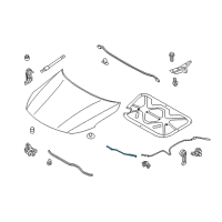 OEM 2014 Kia Optima Cable Assembly-Hood Latch Diagram - 811902T100