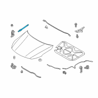 OEM 2015 Kia Optima LIFTER-Hood LH Diagram - 811612T000