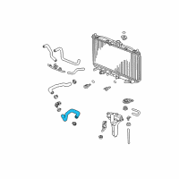 OEM 2006 Acura TSX Hose, Water (Lower) Diagram - 19505-RBA-000