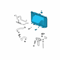 OEM 2005 Acura TSX Radiator (Denso) Diagram - 19010-RBB-E51