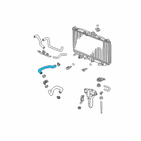 OEM Acura Hose, Water (Upper) Diagram - 19501-RBB-000