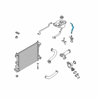 OEM 2014 Ford Mustang Overflow Hose Diagram - BR3Z-8C362-B