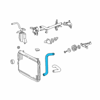 OEM Toyota Tundra Lower Hose Diagram - 16572-0P010