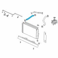 OEM 2004 Saturn Ion Radiator Inlet Hose (Upper) Diagram - 22682479