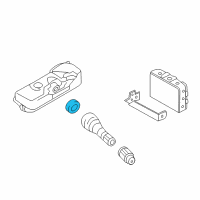 OEM 2011 Hyundai Santa Fe Nut-TPMS Diagram - 52934-2B000