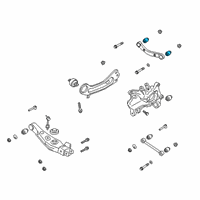 OEM 2020 Hyundai Santa Fe Bush-UPR Arm Diagram - 55138-S1000