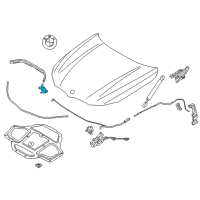 OEM 2020 BMW 840i Gasket Bonnet Side Right Diagram - 51-76-7-349-602
