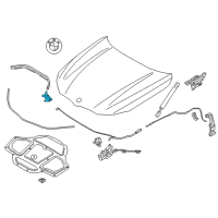 OEM 2020 BMW 530e xDrive Gasket Bonnet Side Right Diagram - 51-76-7-349-602