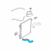 OEM 2005 Mercury Mountaineer Lower Hose Diagram - 1L2Z-8286-AA