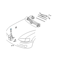 OEM Lexus Cap, Tank Diagram - 85316-16070