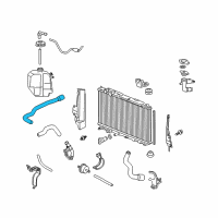 OEM 2007 Honda Civic Hose, Water (Upper) Diagram - 19501-RMX-000