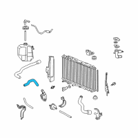 OEM 2011 Honda Civic Hose A, Water (Lower) Diagram - 19502-RMX-000