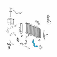 OEM 2010 Honda Civic Hose B, Water (Lower) Diagram - 19504-RMX-000