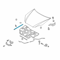 OEM Hyundai Genesis Coupe Lifter-Hood Diagram - 81161-2M502