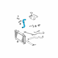 OEM 2004 Toyota Camry Lower Hose Diagram - 16572-0H020