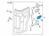 OEM 2020 Ford F-250 Super Duty Back Up Lamp Bulb Socket Diagram - LC3Z-13411-B