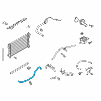 OEM 2016 Ford Special Service Police Sedan Lower Hose Diagram - DG1Z-8286-A