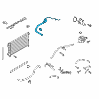 OEM 2017 Ford Taurus Upper Hose Diagram - DG1Z-8260-B