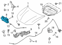 OEM 2021 Ford Bronco Sport LATCH ASY - HOOD Diagram - LJ8Z-16700-A