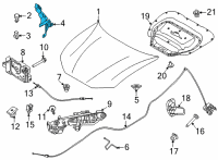OEM 2022 Ford Mustang Mach-E HINGE ASY - HOOD Diagram - LJ8Z-16796-B