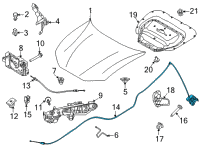OEM 2022 Ford Mustang Mach-E CABLE ASY - HOOD CONTROL Diagram - LJ8Z-16916-A