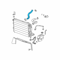 OEM 2007 Chevrolet Equinox Radiator Outlet Hose (Lower) Diagram - 15781527