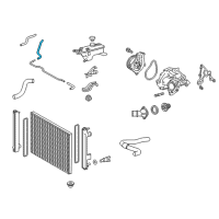 OEM 2018 Lexus NX300h Hose, Water By-Pass Diagram - 16261-36050