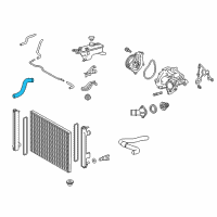 OEM 2018 Toyota RAV4 Lower Hose Diagram - 16572-36160