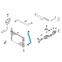 OEM 2017 Hyundai Santa Fe Hose-Radiator Lower Diagram - 25412-2W800