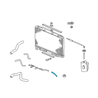 OEM 2003 Honda Odyssey Hose (150MM) (ATf) Diagram - 25213-P2A-305