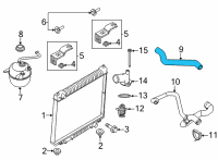 OEM 2004 Ford E-250 Upper Hose Diagram - XC2Z-8260-CB