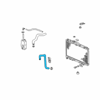 OEM Acura CL Hose, Water (Lower) Diagram - 19502-P8A-A00